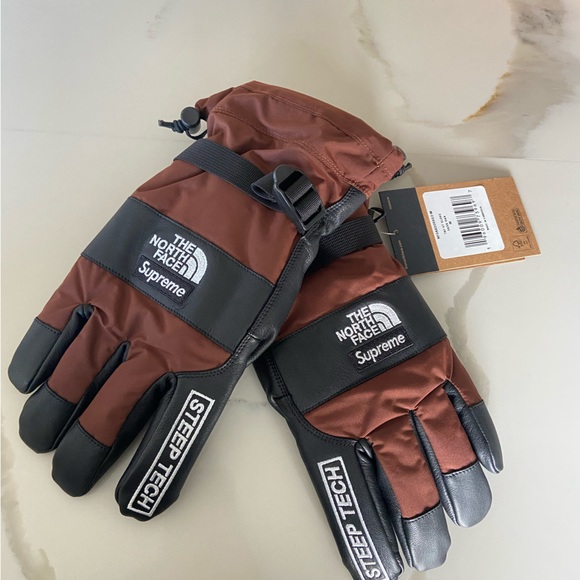 SUPREME X THE NORTH FACE • Tnf Steep Tech brown glove size M - Picture 8 of 8